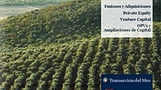 Mercado Ib&eacute;rico - Julio 2013